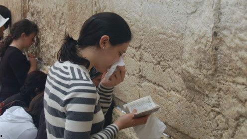 娱乐吃瓜君可怜