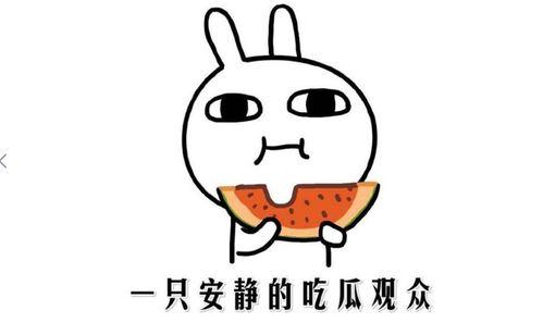 娱乐吃瓜点评怎么写的啊,揭秘明星幕后故事  第3张