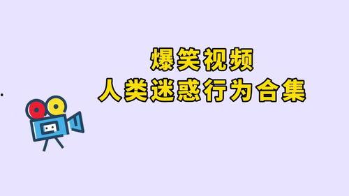 吃瓜群众的视频素材,揭秘吃瓜群众视角下的热门事件瞬间  第2张