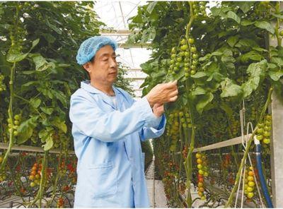 徐少华资料,从影视明星到公益使者，探寻他的多彩人生  第3张